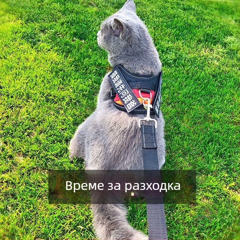 Котешки поводник с антиразцепване, жилетка-стил, полиестер, за всички сезони