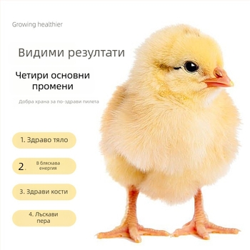 Стартово хранене за пилета и пъдпъдъци (Без внос; Частен етикет: Да; Пазар: Други)