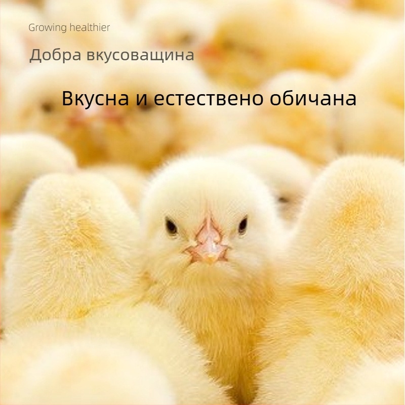 Стартово хранене за пилета и пъдпъдъци (Без внос; Частен етикет: Да; Пазар: Други)