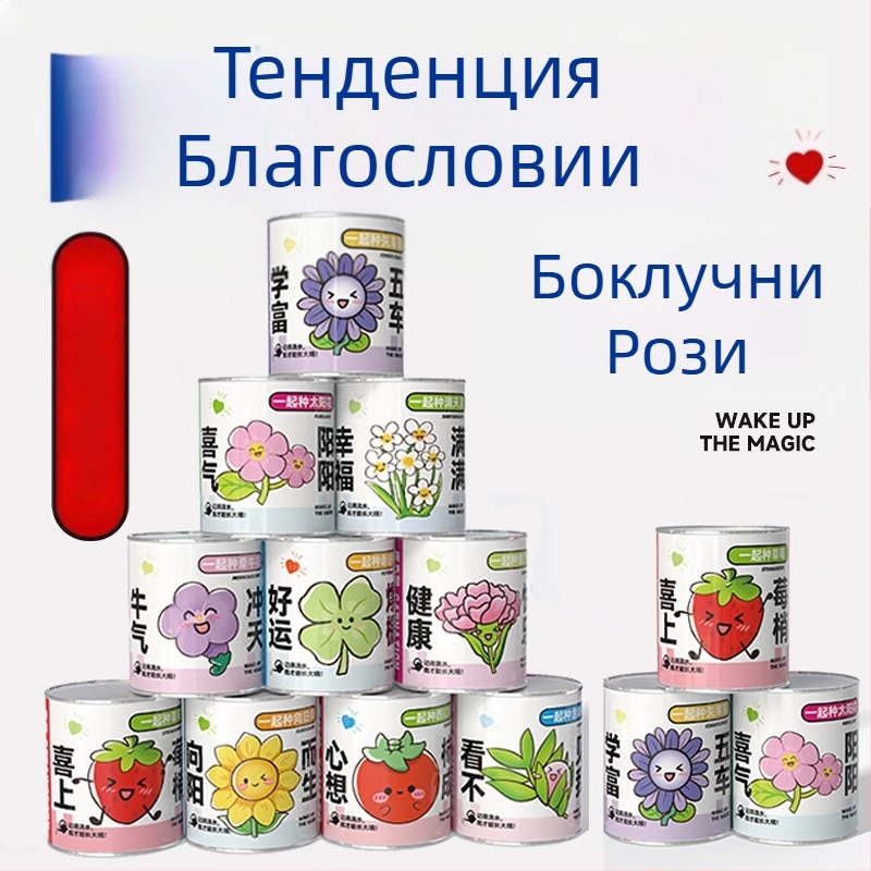 Мини растения в загадъчна кутия за засаждане: ягоди, гипсофила и morning glory; идеални за подарък и награди в клас