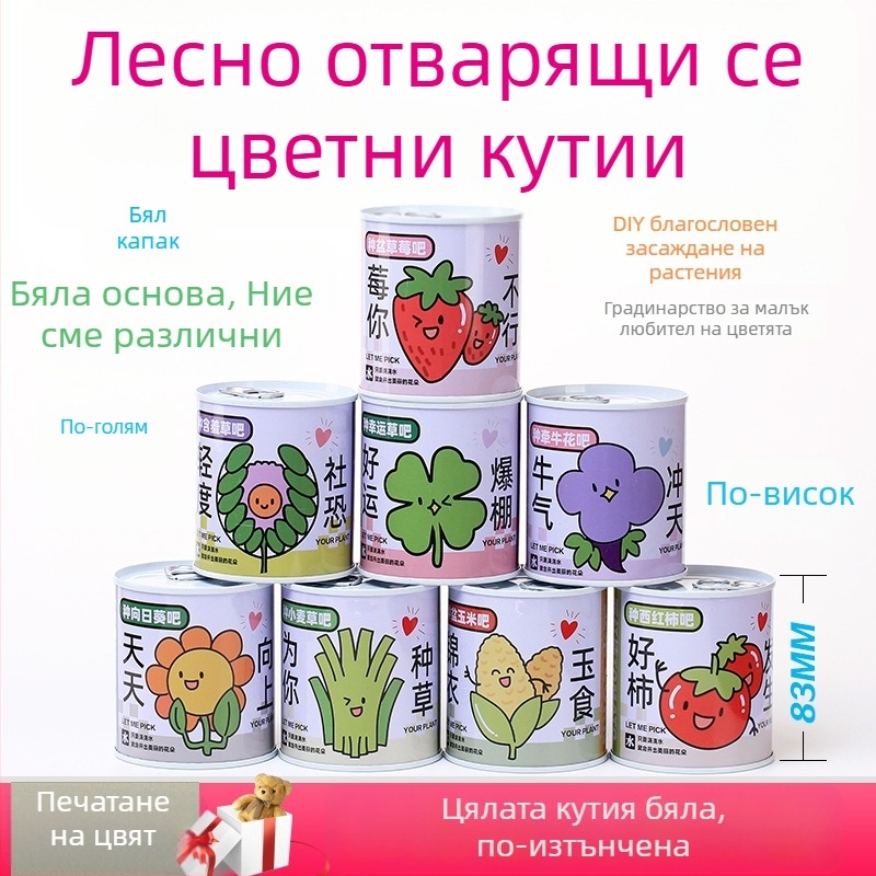 Десктопно растение в подаръчна кутия със смес от слънчогледи — семена за лесно отглеждане, видове: слънчоглед, ягоди, домати, детелина; над 15°C, неутрален светлинен режим