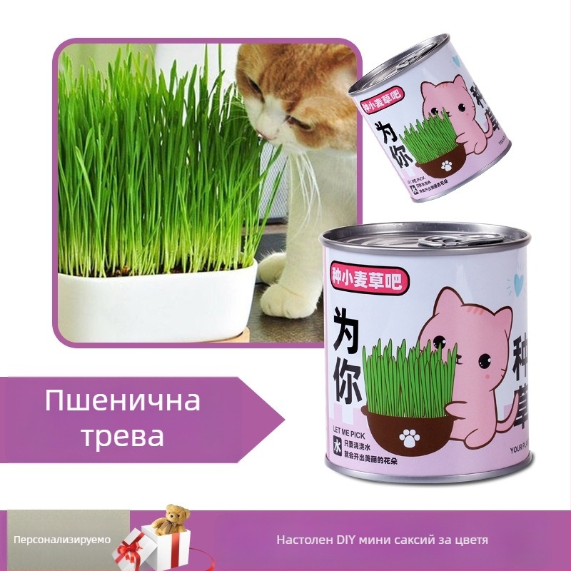 Десктопно растение в подаръчна кутия със смес от слънчогледи — семена за лесно отглеждане, видове: слънчоглед, ягоди, домати, детелина; над 15°C, неутрален светлинен режим