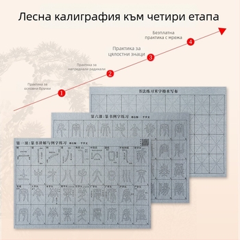 Комплект за калиграфия: Seal Script шрифт, видеоурок със синхронни удари и радикали, водно платно за писане, комплект четки