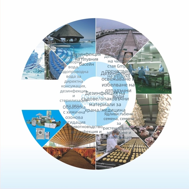 Qida всичко-в-едно озонов генератор, висококонцентриран озон дезинфекция, 99% стерилизация, 99,5% убиване на водорасли