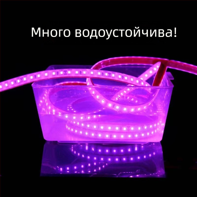 LED лента 24V, IP68 водоустойчива, 120×3528 светодиоди, 10 W/m, с димер