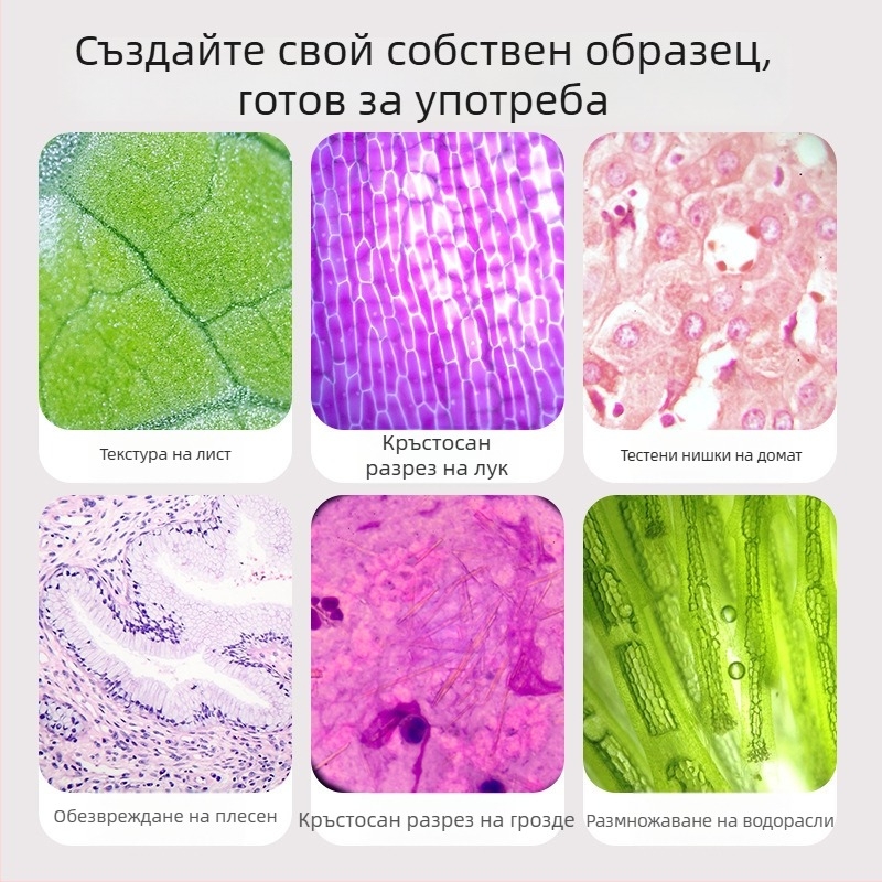 Детски микроскоп 3 в 1 — компактна образователна играчка, пластмасов материал, DIY съвместим, опаковка в цветна кутия, за деца 4–6 г., биология/химия (пластмаса; DIY; цветна кутия; 4–6 г.; биология/химия)