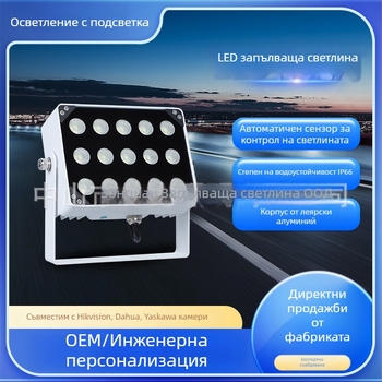 LED мониторинг светлина със светкавица – IP66, 15W, 1950 lm, AC86-260V, модел BG-15WBGD-X, за наблюдение на трафика и разпознаване на номера
