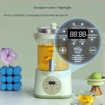 Електрически здравословен чайник с боросиликатно стъкло, 2–3 л, 800 W, 220 V, управление с докосване, електронен термостат, подходящ за над 6 човека