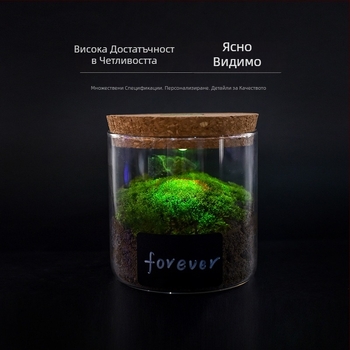 Стъклена бутилка за съхранение с подсветка - боросиликатно стъкло с висока прозрачност, коркова капачка, дисплей за гривни, прахоустойчива