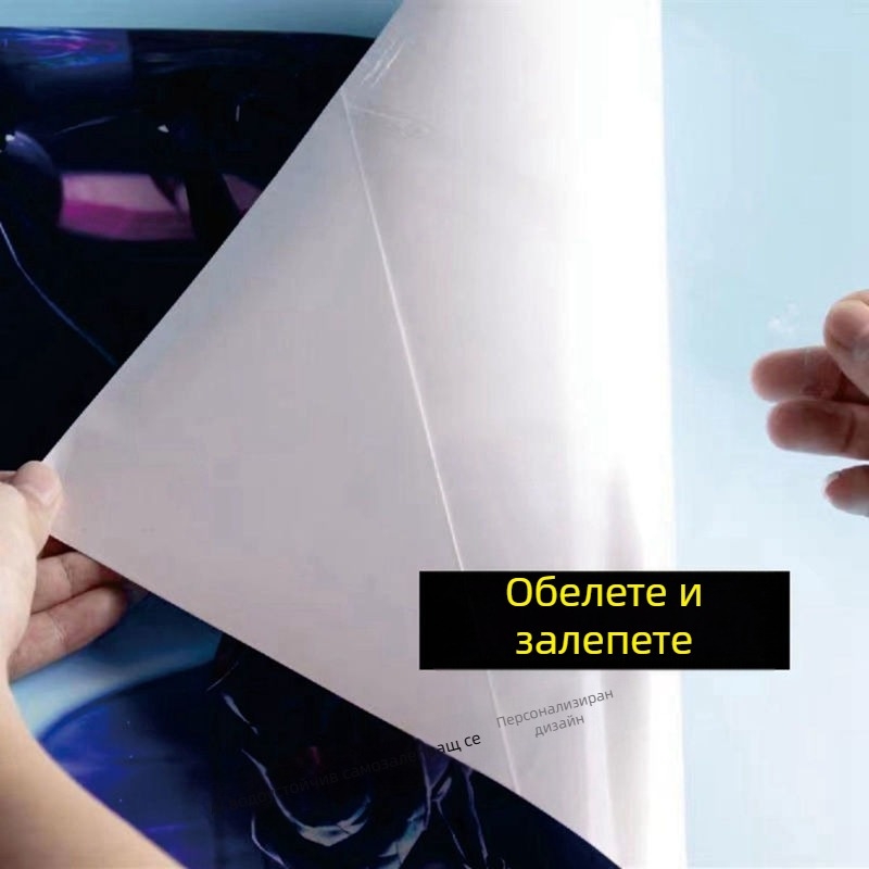 Стенно стикер с петел – мотив за всекидневна, спалня и антре (PVC материал; декоративно украсяване; пространство: всекидневна, спалня, антре; стил: модерен минимализъм)