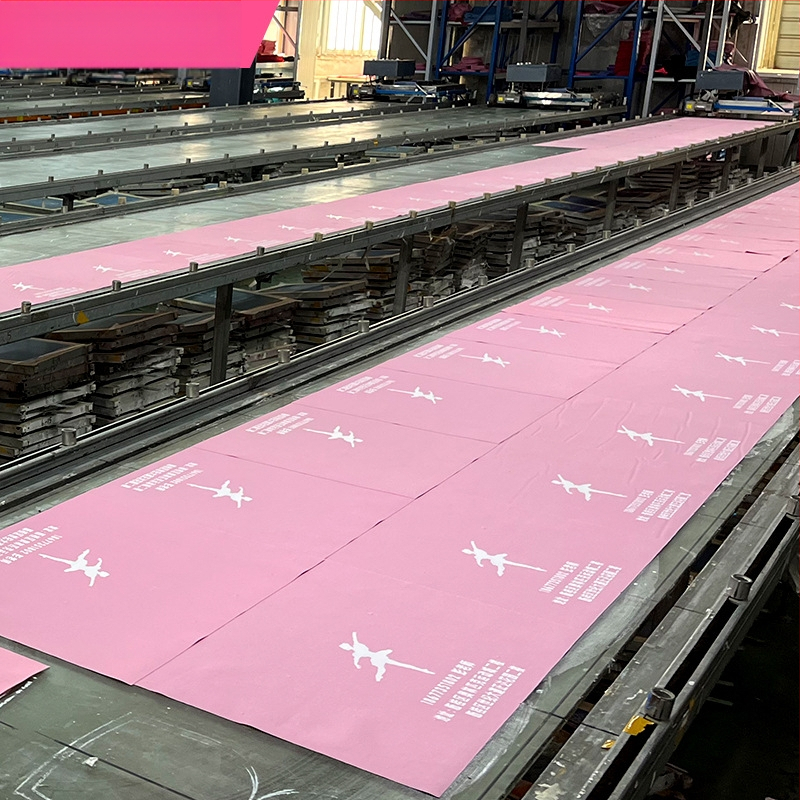 Vaikiška šokių kuprinė „Dance Bag“, didelės talpos moteriškas šokių drabužių laikymo krepšys, šokių rankinė per petį.