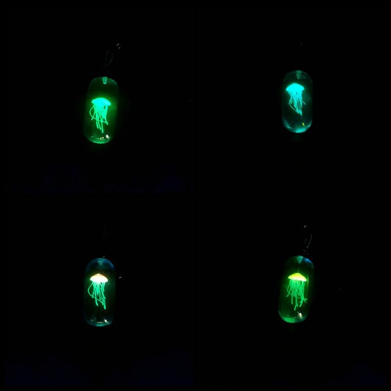 Piiriülesed plahvatused Meduusid Helendav Kaelakee Vaigust Helendav Ripats Lihtne Geomeetriline Niši Ehted Käsitsi Valmistatud Paar