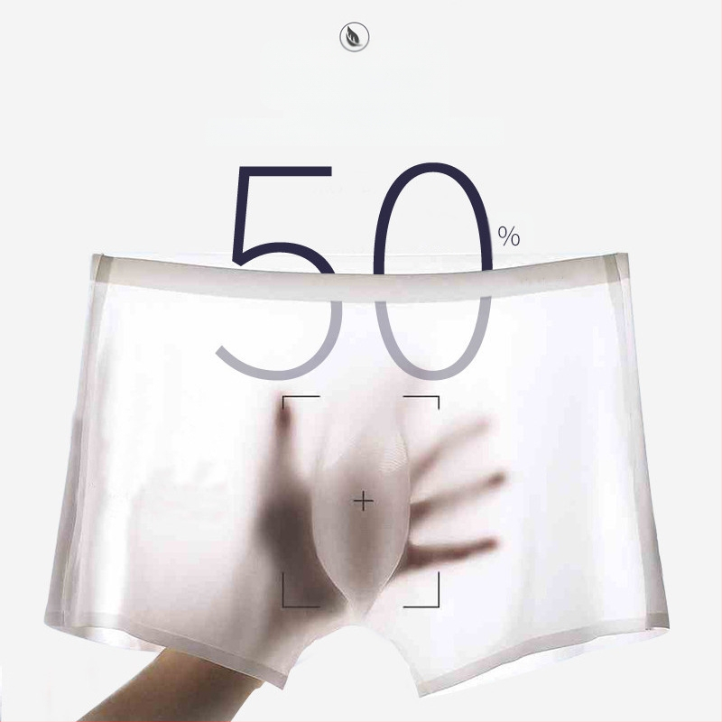 120 τεμάχια μονοκόμματα νάιλον Ice Silk ανδρικά εσώρουχα μπόξερ κατασκευαστές αναπνεύσιμο εξαιρετικά λεπτό γροθιά D