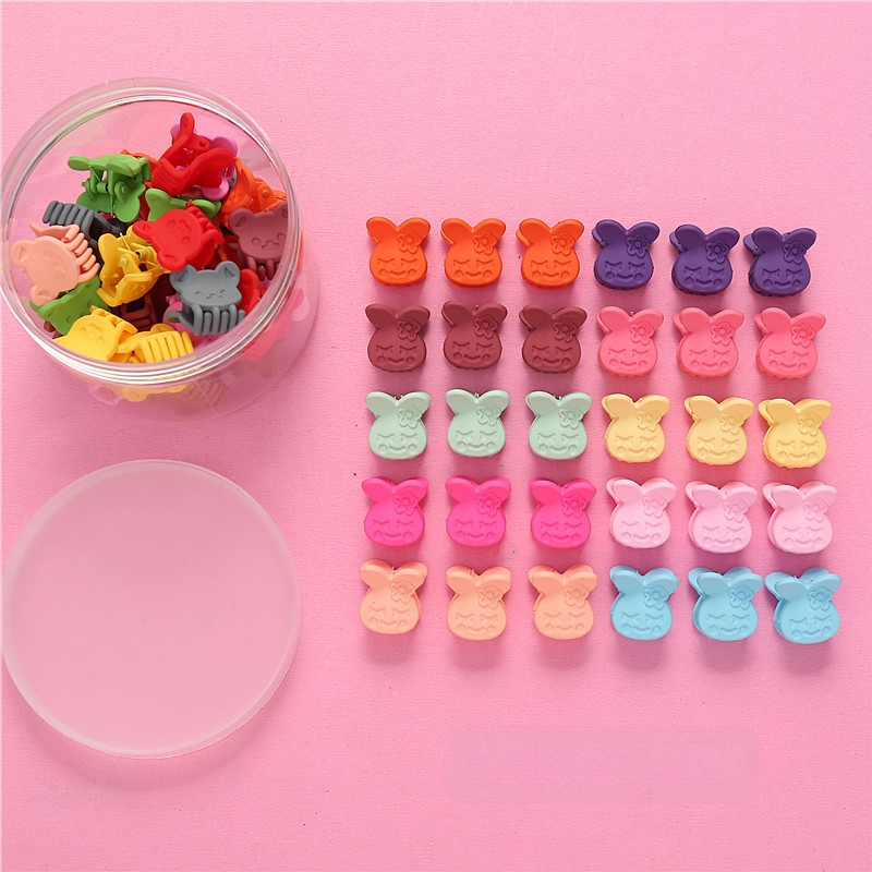 50 konservuotų vaikiškų mažų gėlių formos plaukų segtukų, princesės, mieli galvos apdangalai, kūdikių mergaičių plaukų aksesuarai, animacinių filmukų kirpčiukai, maža segtuko segtukas