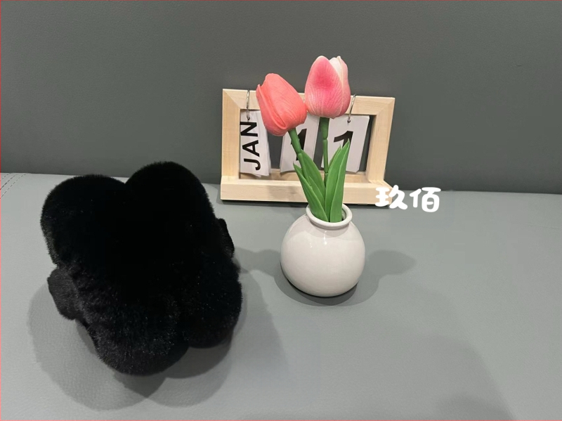 Talvised soojad kõrvaklapid Naiste Korea stiilis armsad õpilaste kõrvakatted Talvised kõrvakaitsed Plush kõrvaklapid Külmumisvastased kõrvaklapid Mitte kokkupandavad