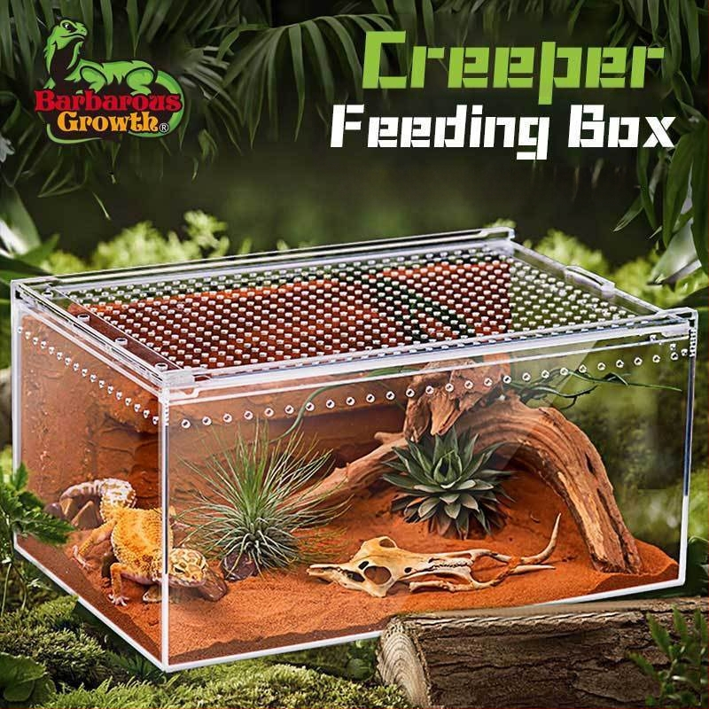 Акрилна интегрирана кутия за хранене, против изтичане на вода, катерене за домашни любимци, екологична кутия, паяк, рогата жаба, Shougong, змия, хранене на влечуги