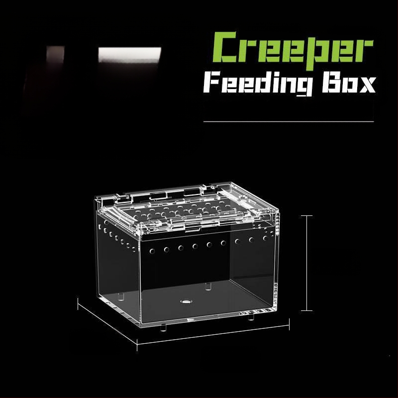 Акрилна интегрирана кутия за хранене, против изтичане на вода, катерене за домашни любимци, екологична кутия, паяк, рогата жаба, Shougong, змия, хранене на влечуги