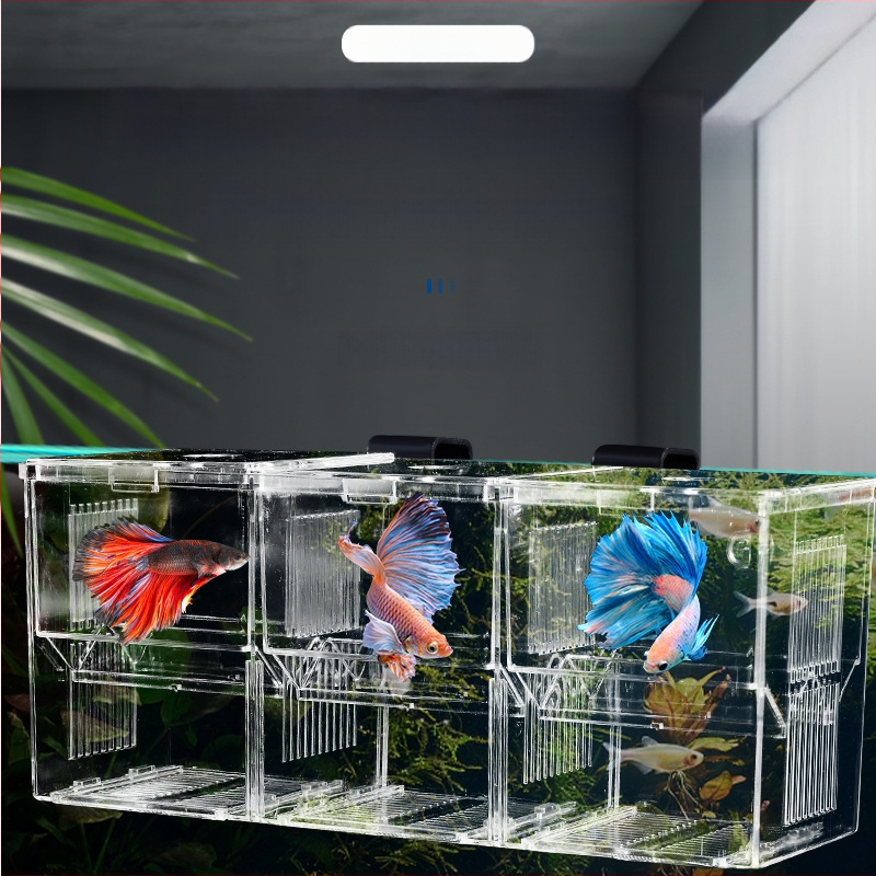 Kalapaagi inkubatsiooni isolatsioonikast, pumpamisplaadi tüüpi läbipaistev aretuskast, akvaariumi koorumiskast, betta kalakast, konksuga emakast