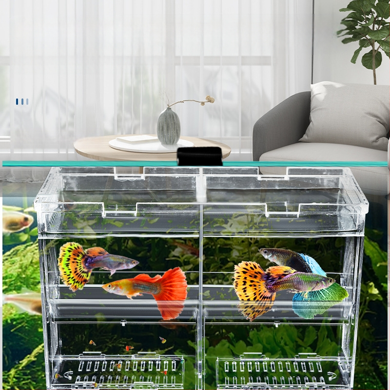 Kalapaagi inkubatsiooni isolatsioonikast, pumpamisplaadi tüüpi läbipaistev aretuskast, akvaariumi koorumiskast, betta kalakast, konksuga emakast