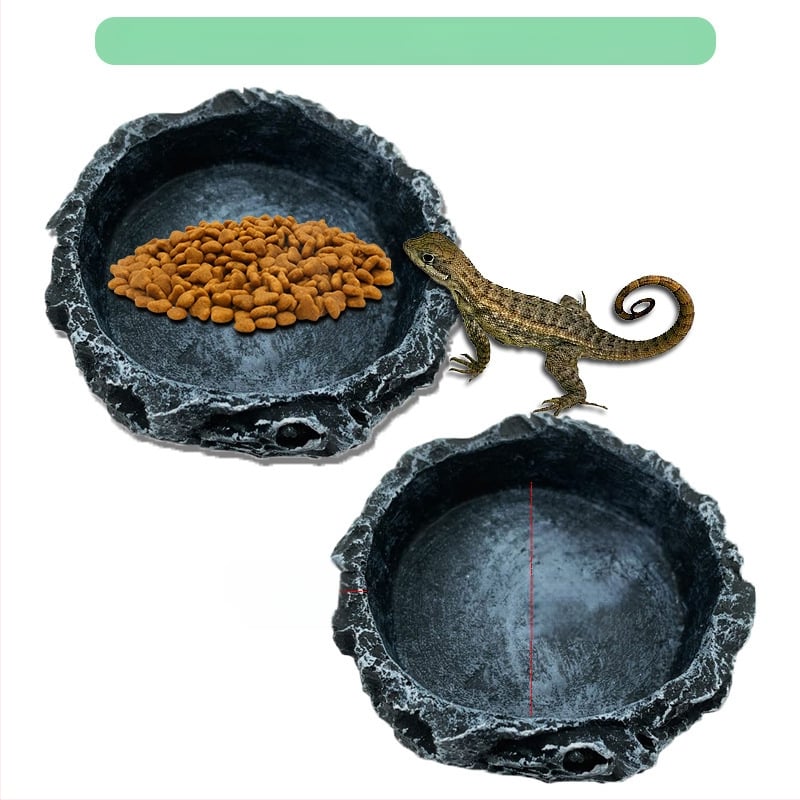 Roomajate toidukast, joogikauss, kilpkonnaroog, kilpkonna sisalik, madu ja muud roomajate söötja, vaigukäsitöö