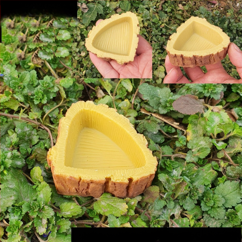 Roomajate toidukast, joogikauss, kilpkonnaroog, kilpkonna sisalik, madu ja muud roomajate söötja, vaigukäsitöö