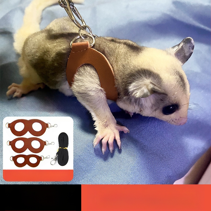 Въже за теглене на торбичка с мед, против бягство, против ухапване, хамстер, Златна мечка, катерица, домашни любимци, реквизити на едро