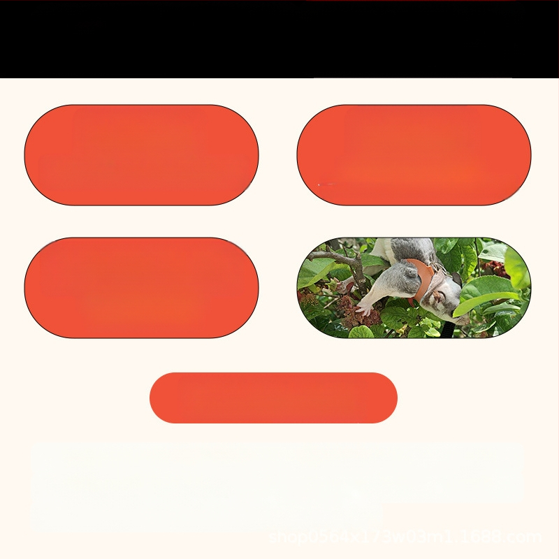 Въже за теглене на торбичка с мед, против бягство, против ухапване, хамстер, Златна мечка, катерица, домашни любимци, реквизити на едро