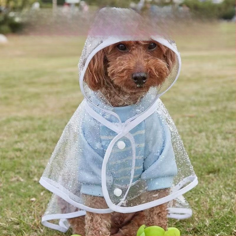 Koera vihmakeep saab välja tõmmata, lemmikloomade õuetarbed, veekindel, vihmakindel, tuulekindel, läbipaistev, kõikehõlmav, kutsikale helkur