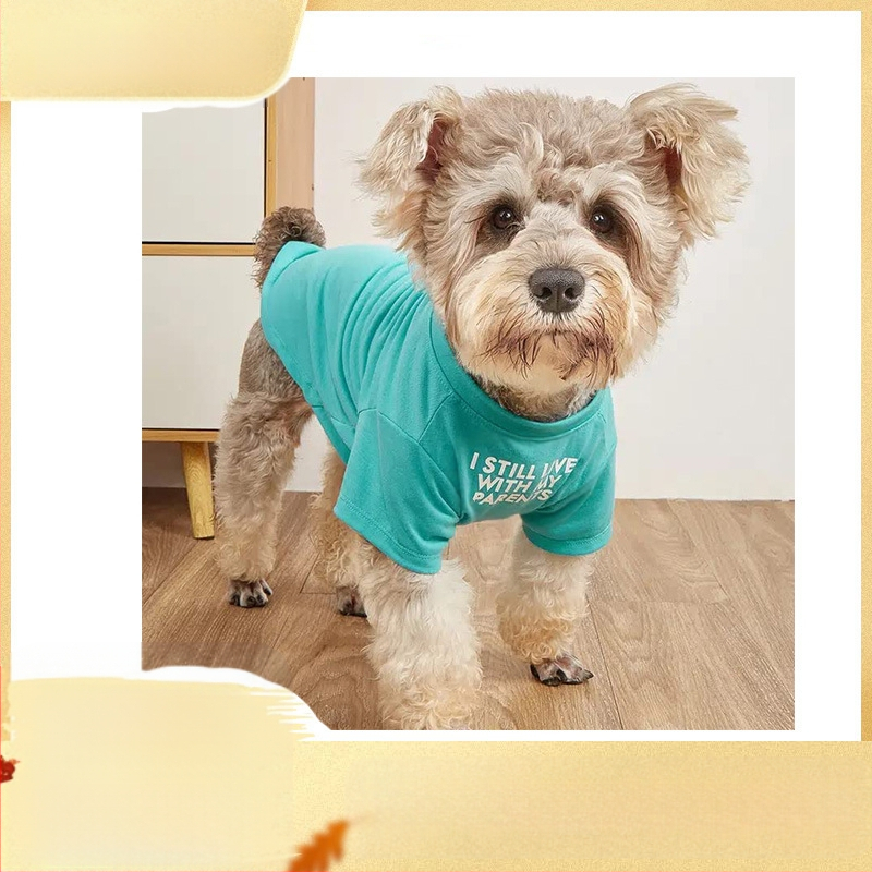 Teddy Clothes Bug Shapi Bulldog lemmikloomade riided kampsunkaelusega T-särk Teddy Panda koerariided