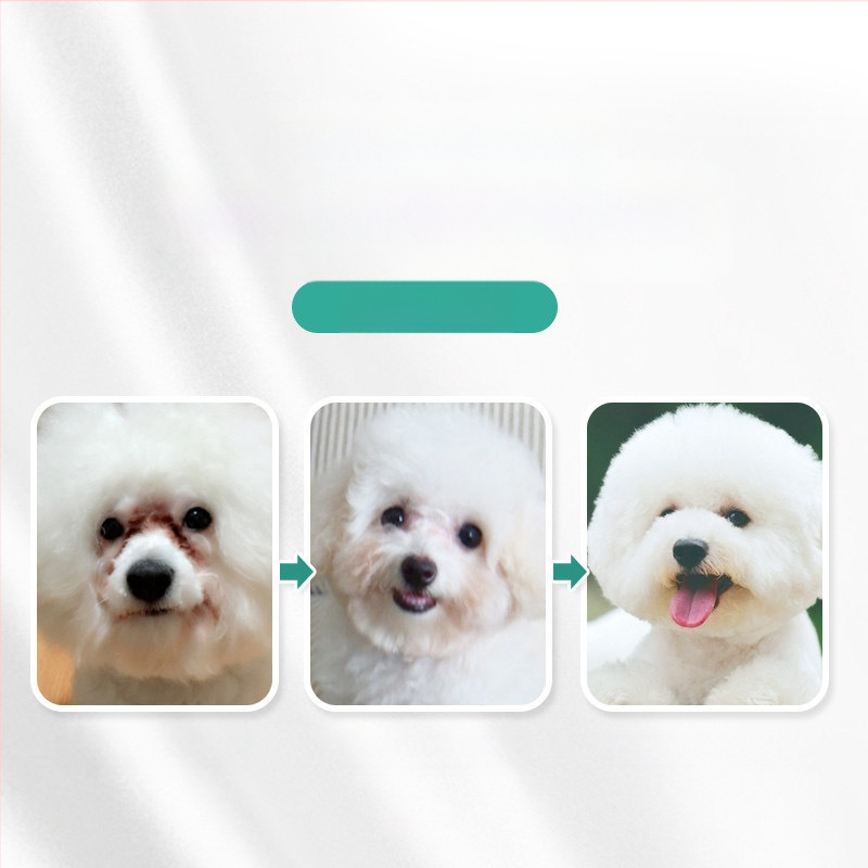 Drėgnos servetėlės augintinių akių valymui 200 kačių. Naudokite drėgnas servetėles augintinių akių išmatoms valyti.