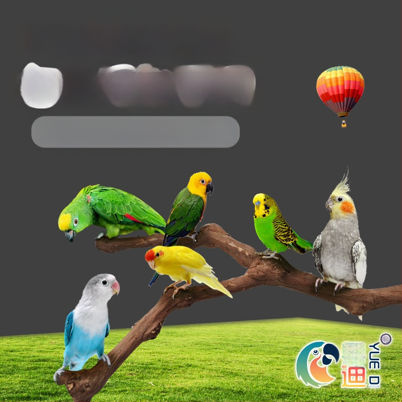 „Yuedi“ vynuogių medinė meškerė, paukščių stotelė, vynuogių narvo šlifavimo žnyplės, meškerė, papūgų paukščių stotelė