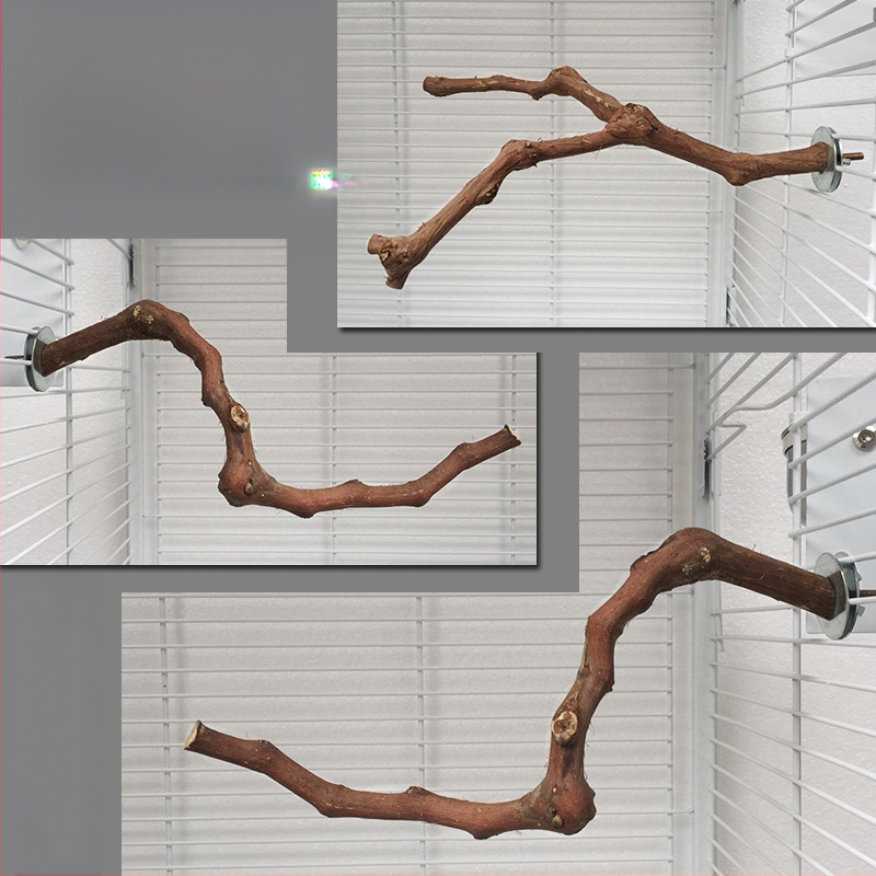 „Yuedi“ vynuogių medinė meškerė, paukščių stotelė, vynuogių narvo šlifavimo žnyplės, meškerė, papūgų paukščių stotelė