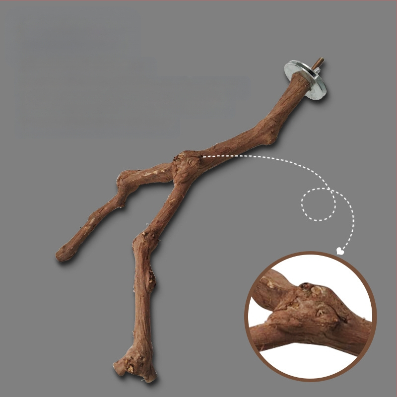 „Yuedi“ vynuogių medinė meškerė, paukščių stotelė, vynuogių narvo šlifavimo žnyplės, meškerė, papūgų paukščių stotelė