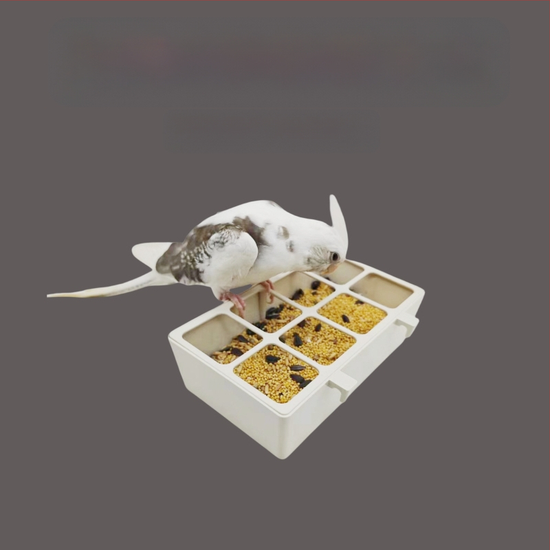 Papagájfióka Tanuló Etetődoboz Szétszóródásgátló Ételtál Automata Etető Kismadár Házimadár Készülék Egyéb