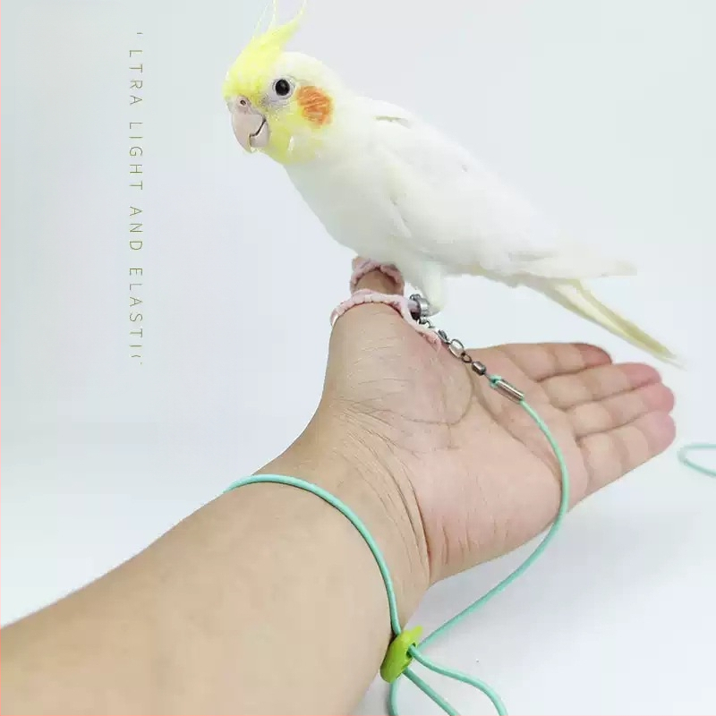 Еластичност на въжето за муха от папагал, не наранява краката, ултралеко тренировъчно, черно феникс, тигрова кожа, божур, гривна за крак, въже за разходка с птица