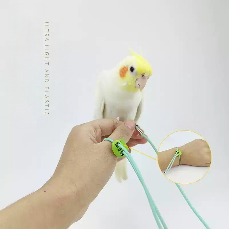 Еластичност на въжето за муха от папагал, не наранява краката, ултралеко тренировъчно, черно феникс, тигрова кожа, божур, гривна за крак, въже за разходка с птица