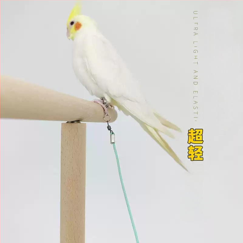 Еластичност на въжето за муха от папагал, не наранява краката, ултралеко тренировъчно, черно феникс, тигрова кожа, божур, гривна за крак, въже за разходка с птица