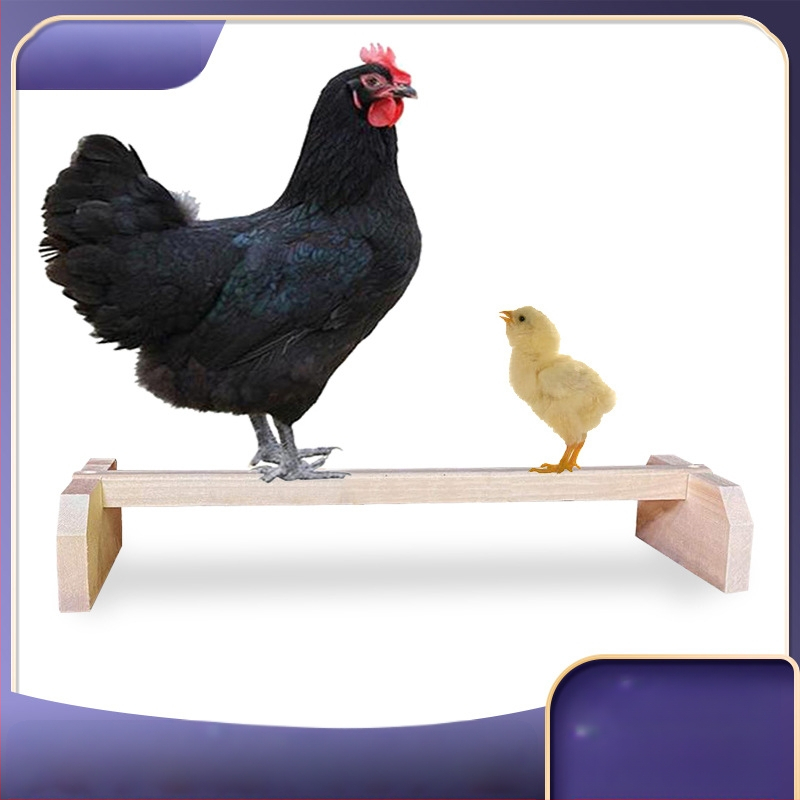 Комплект от две части за гнездо на петел и кокошка, дървен прът за пиле, поставка за домашен любимец и папагал.