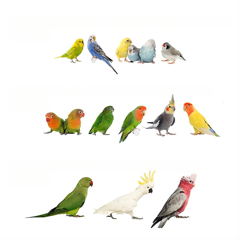 Plišano gnijezdo za papige, vjetrootporno deka za ptice, šal, uska kabina, topla posteljina, viseće ptičje gnijezdo, ptičje gnijezdo