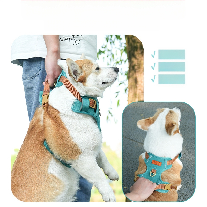 Koera veojõuköie vest koerale, jalutuskäigu köis lemmikloomale, rinnal seljal, suur, keskmine ja väike koer, kuldne retriiver, corgi karu, spetsiaalne väljasõiduks