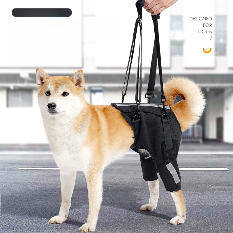 Koera abivöö Amazoni uus hingav kalasabakaitse selgroo toetamiseks koerte treenimiseks ülakorrusel lemmikloomade kaitsevarustus