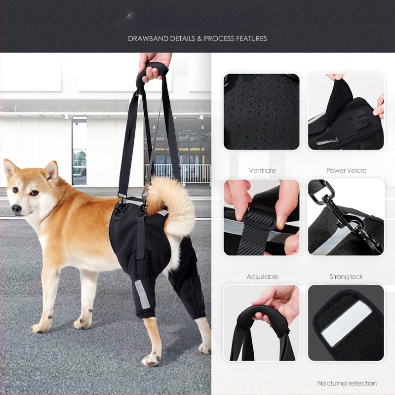 Koera abivöö Amazoni uus hingav kalasabakaitse selgroo toetamiseks koerte treenimiseks ülakorrusel lemmikloomade kaitsevarustus