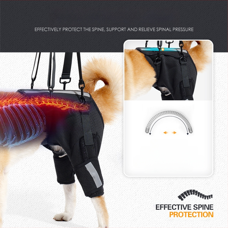 Koera abivöö Amazoni uus hingav kalasabakaitse selgroo toetamiseks koerte treenimiseks ülakorrusel lemmikloomade kaitsevarustus