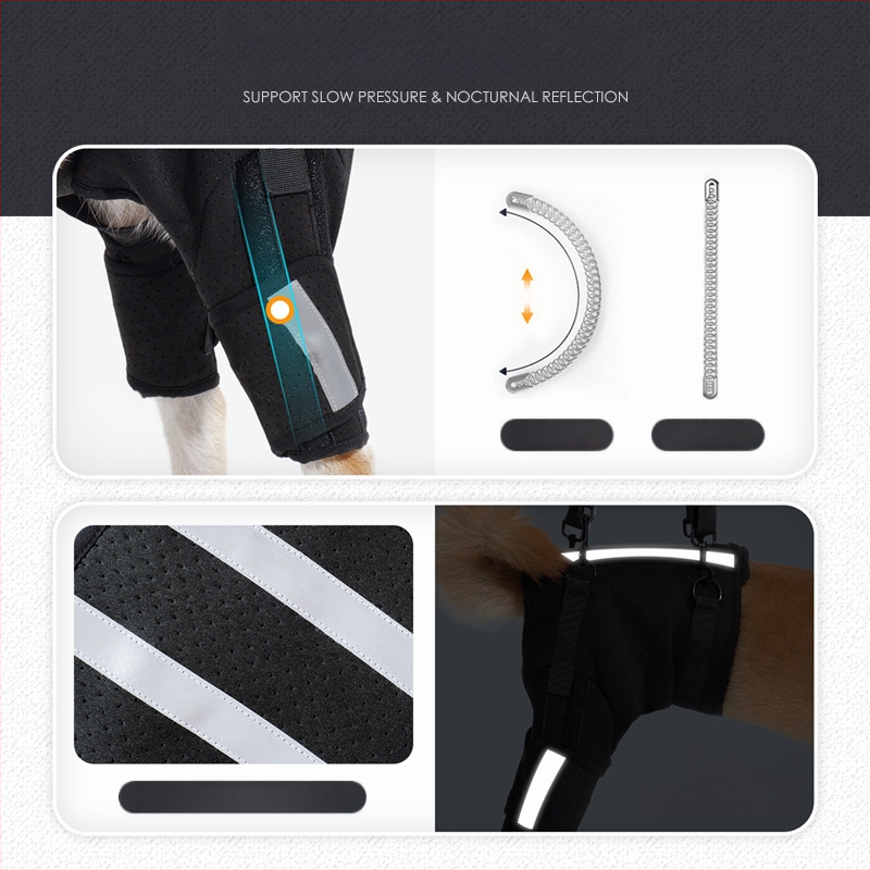 Koera abivöö Amazoni uus hingav kalasabakaitse selgroo toetamiseks koerte treenimiseks ülakorrusel lemmikloomade kaitsevarustus