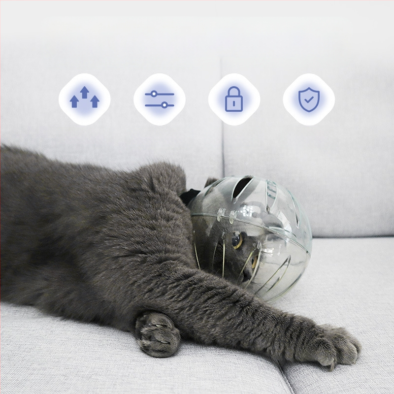 Katės galvos apdangalas su gaubtu, apsaugančiu nuo laižymo, apsaugančiu nuo įkandimo, permatomas, sferinis, kvėpuojantis. Elžbietos žiedo formos katės galvos apdangalas.