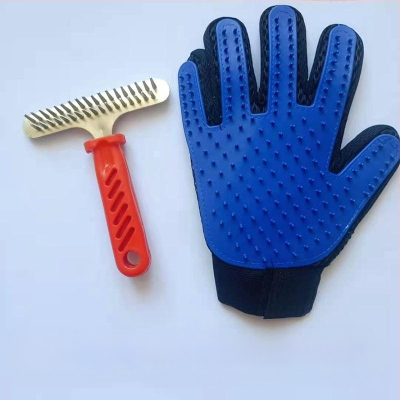 Suurele, keskmisele ja väikesele koerale mõeldud kamm, kaherealine kamm, nõelkamm, paks karv, kuldne karv, kaisukaru, kassi servaga, lambakoera kamm, hari, karvaeemalduse tööriist