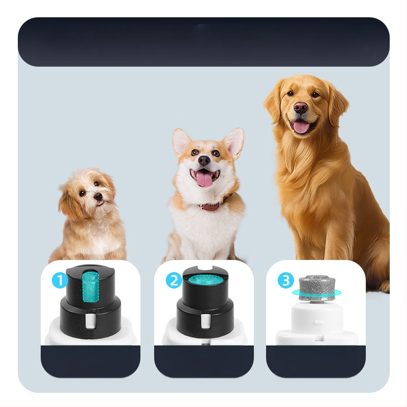 Lemmikloomade küünte teritaja Lemmikloomade küünelõikurid kergete küünelõikuritega Koerte kasside küünelõikurid Lemmikloomade küünte teritaja