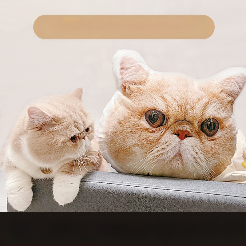 Tulnuka kole padi ilma valge servata, kaheinimesevoodi komplekt, kole kassi foto, kass, koer, nukk, topelt isetegemise padi