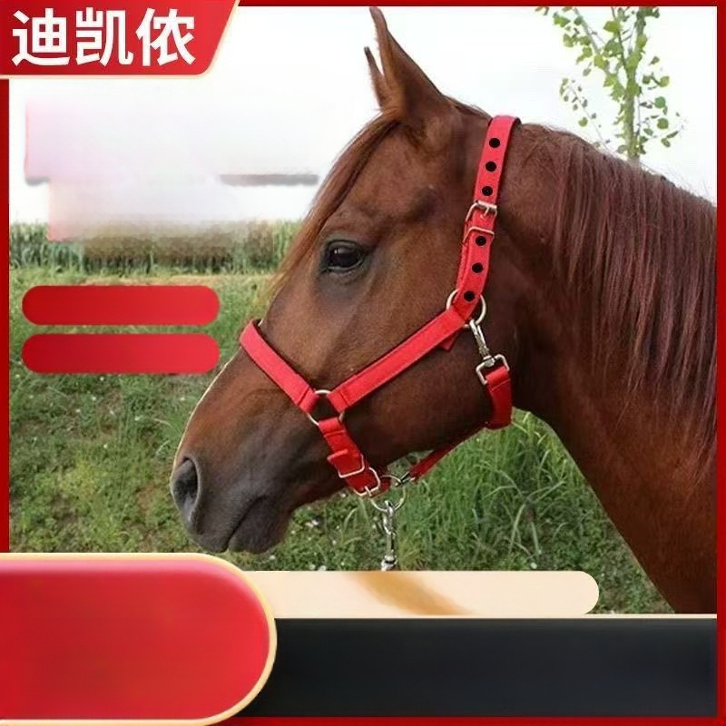 „Decathlon“ petnešos, vilnos, kamanų pagalvėlė, atspari dilimui, jojimo reikmenys, arklio narvo uždangalas, ponio dydžio, čiaupo uždangalas