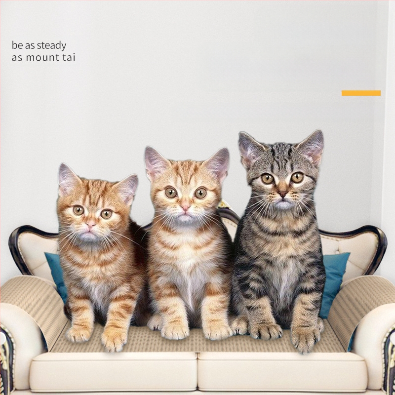 Katės lizdas, katės draskymo lenta, integruota katės sofa, didelė katės letenų lenta, atspari įbrėžimams, didelė sofa su apsauga nuo įbrėžimų